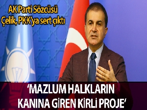 AK Parti Sözcüsü Çelik'ten sert PKK açıklamaları