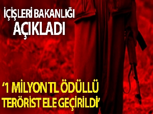 İçişleri Bakanlığı: '1 milyon TL ödülle aranan Hayri Mava kod adlı terörist yaralı olarak ele geçirilmiştir'