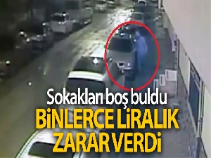 Sokakları boş buldu 15 araca binlerce liralık zarar verdi