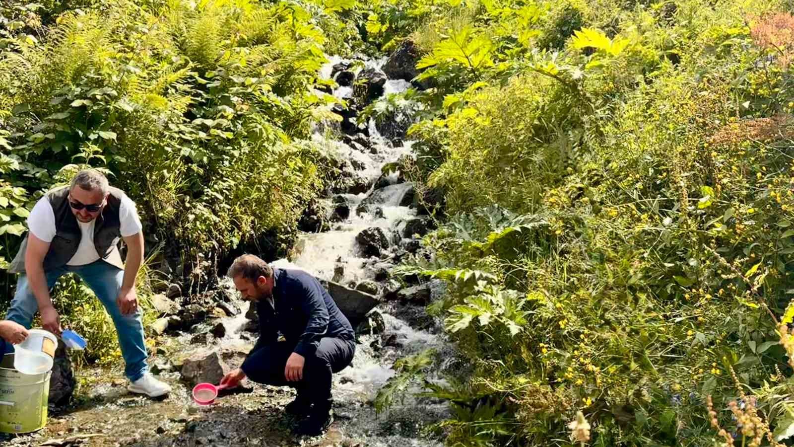 uzungol-ve-cevresindeki-derelere-15-bin-kirmizi-benekli-yavru-alabalik-birakildi