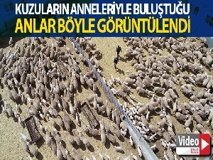 Ana kuzuları böyle görüntülendi