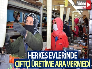 Antalya'da çiftçi üretime ara vermedi
