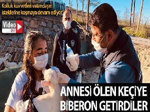 Annesi ölen yavru keçi için zabıtadan biberon istediler