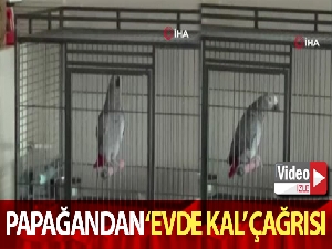 Papağandan “Evde kal” çağrısı