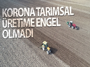Korona tarımsal üretime engel olmadı