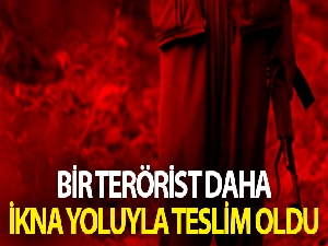 İçişleri Bakanlığı: “Terör örgütünün dağ kadrosunda olan terörist teslim oldu”