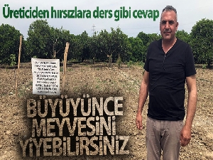 Üreticiden fidan hırsızlarına afişli önlem