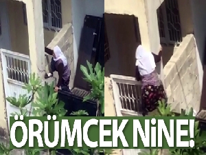 75'lik nine örümcek gibi tırmandı