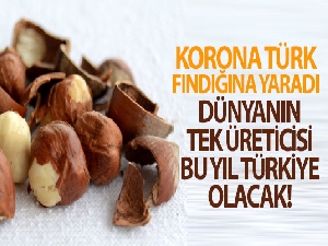 Korona Türk fındığına yaradı