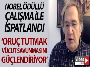 Japon bilim insanına Nobel Ödülü getiren çalışma yeniden gündemde