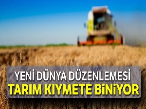 Tarım ve gıda kıymete biniyor