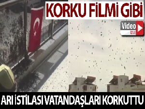 Vatandaşları korkutan arı istilası