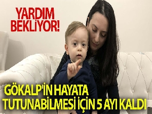 Gökalp'in hayata tutunabilmesi için sadece 5 ayı kaldı