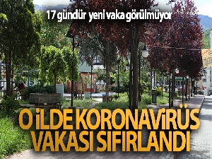 Artvin'de Koronavirüs vaka sayısı sıfırlandı, 17 gündür şehirde yeni vaka görülmüyor