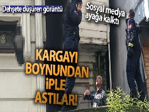 Pendik'te dehşete düşüren görüntü: Kargayı boynundan iple astılar
