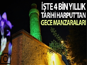 Bir annenin feryadı: 'Ölmeden oğlumu görmek istiyorum'