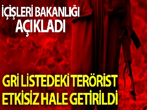 Tunceli'de 500 bin TL ödülle aranan terörist etkisiz hale getirildi