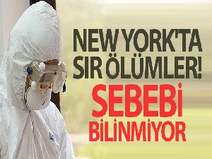 New York'ta 5 binden fazla kişinin ölüm nedeni bilinmiyor