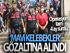 'Mavi Kelebekler' çetesi gözaltına alındı