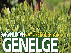 Bakanlıktan 81 ilin valiliğine, 'Çay üreticileri' için genelge