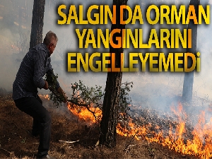 Salgın da orman yangınlarını engelleyemedi
