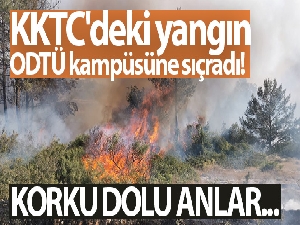 KKTC'deki yangın ODTÜ kampüsüne sıçradı!