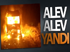 Mardin'de park halindeki tır alev alev yandı