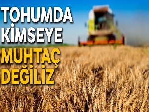 Kimsenin tohumuna muhtaç değiliz