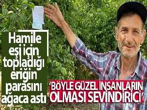 Hamile eşi için topladığı eriğin parasını ağaca astı