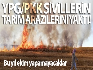 YPG/PKK Deyrizor'da sivillerin tarım arazilerini yaktı