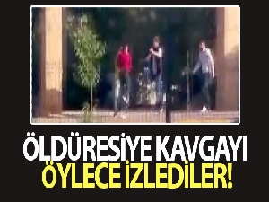 Öldüresiye kavgayı öylece izlediler
