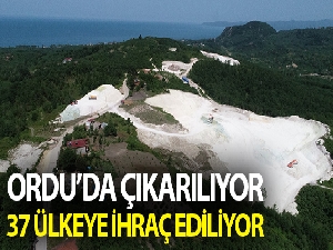 Ordu'da çıkarılıyor 37 ülkeye ihraç ediliyor "Yaşayan Toprak"