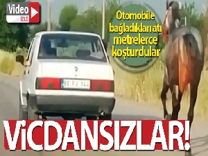 Otomobile bağladıkları atı metrelerce koşturdular
