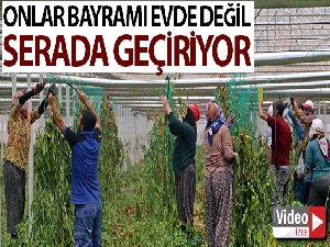 Onlar bayramı evde değil, serada geçiriyor
