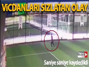 Halı saha içerisinde kediye yapılanlar vicdanları sızlattı