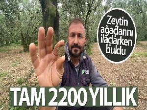 Tarladan 2200 yıllık sikke çıktı