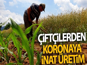 Çiftçilerden koronaya inat üretim