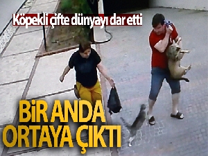 Bir anda ortaya çıktı, köpekli çifte dünyayı dar etti