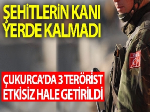 Şehitlerin kanı yerde kalmadı: Çukurca'da 3 terörist etkisiz hale getirildi