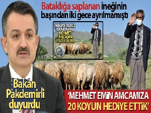 Bakan Pakdemirli: 'Mehmet Emin amcamıza 20 koyun hediye ettik'