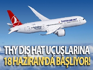 Türk Hava Yolları, Avrupa'dan Anadolu'nun dört bir yanına direkt uçacak
