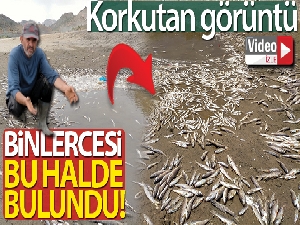 Adıyaman'da korkutan görüntü