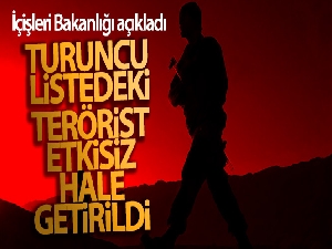 İçişleri Bakanlığı: 'Tunceli'de Turuncu Liste'de aranan terörist etkisiz hale getirildi'