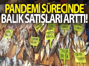 Pandemi sürecinde balık satışları arttı