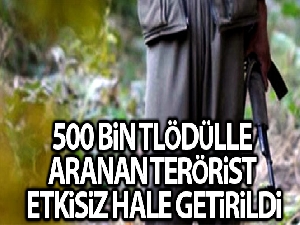 İçişleri Bakanlığı: 'Bitlis'te etkisiz hale getirilen 3 teröristten birinin gri listede yer aldığı belirlendi'