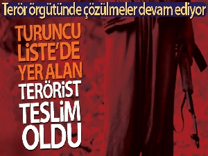 Emniyet'in ikna çalışmasıyla Turuncu Liste'de yer alan 1 terörist teslim oldu