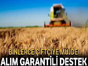 8 bin çiftçiye alım garantili destek