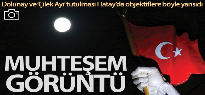 Sınır ötesine uzanan cinayet operasyonu