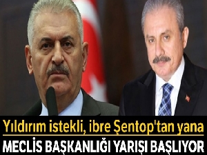 Yıldırım istekli, ibre Şentop'tan yana