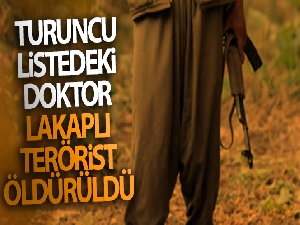Tunceli'de Turuncu Liste'de yer alan 'Doktor' lakaplı terörist öldürüldü